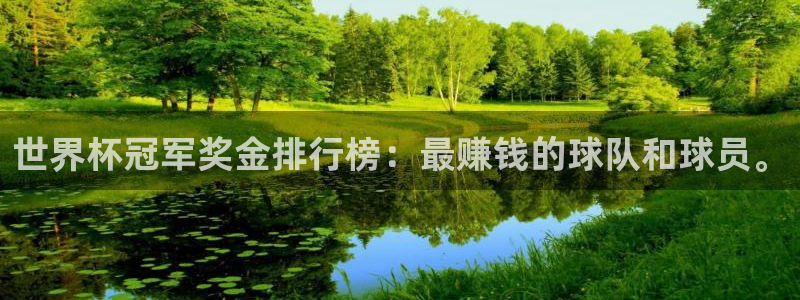 世界杯预选赛欧洲赛区积分榜：世界杯冠军奖金排行榜：最赚钱的球队和球员。