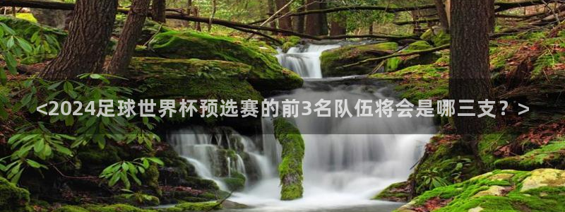 世界杯48支球队赛制：<2024足球世界杯预选赛的前3名队伍将会是哪三支？>