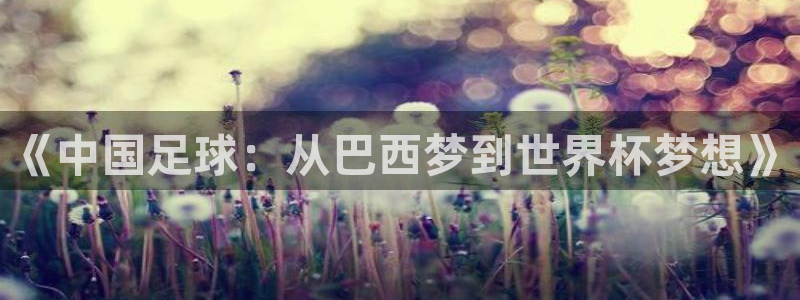 2026世界杯32强对阵图表：《中国足球：从巴西梦到世界杯梦想》
