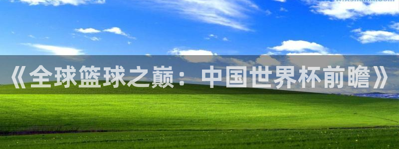 男足世界杯预选赛赛程：《全球篮球之巅：中国世界杯前瞻》