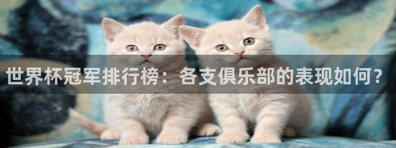 世界杯预赛赛程：世界杯冠军排行榜：各支俱乐部的表现如何？