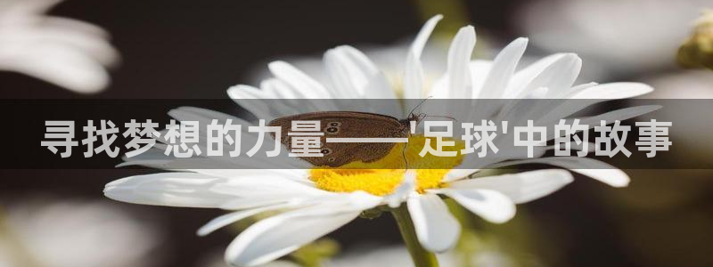欧洲世界杯预选赛赛程：寻找梦想的力量——\'足球\'中的故事