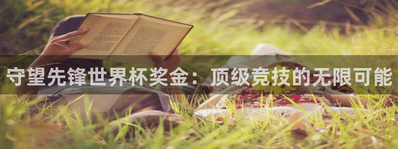 世界杯预选赛亚洲区赛程：守望先锋世界杯奖金：顶级竞技的无限可能