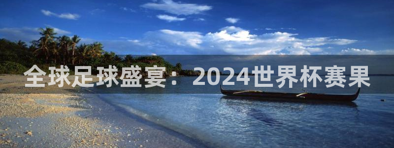 2026世亚预赛赛程表：全球足球盛宴：2024世界杯赛果