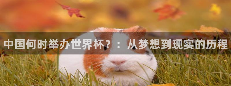2026年世界杯对阵图：中国何时举办世界杯？：从梦想到现实的历程