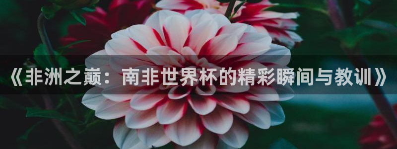 2026年世界杯赛程时间表格：《非洲之巅：南非世界杯的精彩瞬间与教训》
