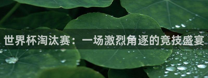 2026年世界杯直播平台：世界杯淘汰赛：一场激烈角逐的竞技盛宴