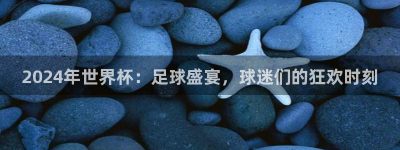 世界杯今年：2024年世界杯：足球盛宴，球迷们的狂欢时刻